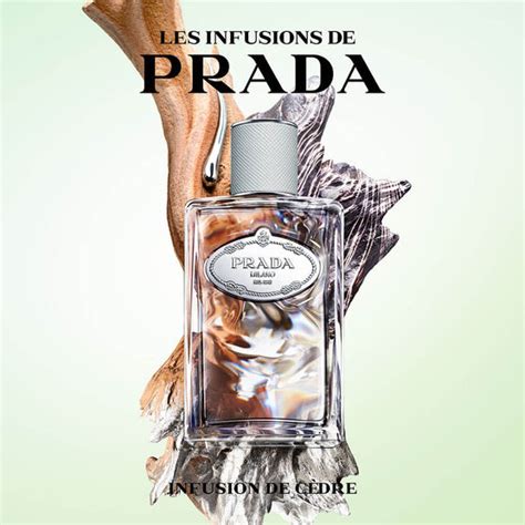 iris cedre prada crema corpo|prada iris cedre sephora.